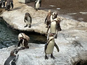 アクアワールド茨城県大洗水族館に投稿された画像（2026/6/17）