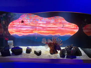 広島もとまち水族館に投稿された画像（2026/6/17）