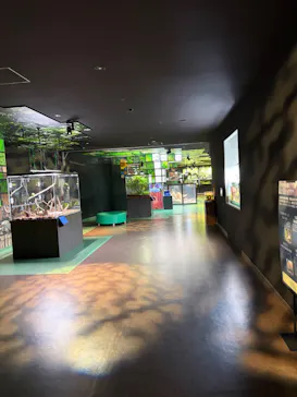 広島もとまち水族館に投稿された画像（2026/6/17）