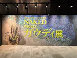 NAKED meets ガウディ展【大阪】に投稿された画像（2026/6/17）
