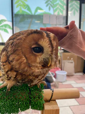 いきもの探検隊湘南に投稿された画像（2026/6/17）