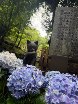 仙巌園に投稿された画像（2026/6/17）