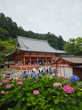 勝尾寺に投稿された画像（2026/6/17）