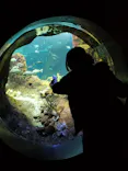新江ノ島水族館に投稿された画像（2026/6/17）