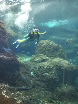 新江ノ島水族館に投稿された画像（2026/6/17）