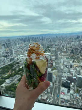 ハルカス300(展望台)に投稿された画像（2026/6/17）