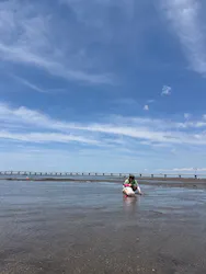 金田みたて海岸潮干狩り場に投稿された画像（2026/6/18）