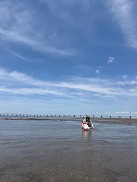 金田みたて海岸潮干狩り場に投稿された画像（2026/6/18）
