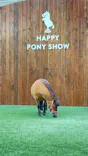 ノーザンホースパークに投稿された画像（2026/6/18）