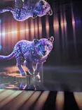 MIRACLE WORLDに投稿された画像（2026/6/18）