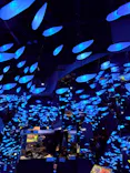AQUARIUM × ART　atoaに投稿された画像（2026/6/18）