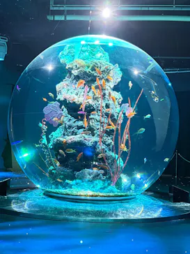 AQUARIUM × ART　atoaに投稿された画像（2026/6/18）