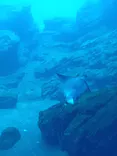 仙台うみの杜水族館に投稿された画像（2026/6/18）