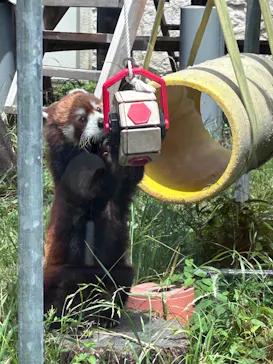 天王寺動物園に投稿された画像（2026/6/18）