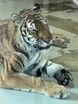 天王寺動物園に投稿された画像（2026/6/18）