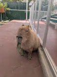 竹島水族館に投稿された画像（2026/6/18）