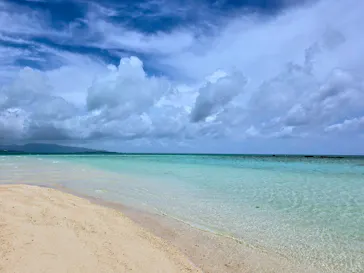 石垣島　ウミガメシュノーケル　マリンショップHAPPYに投稿された画像（2026/6/18）