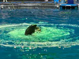 アソビュー！ポイントに投稿された画像（2026/6/19）