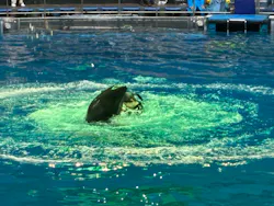 アソビュー！ポイントに投稿された画像（2026/6/18）