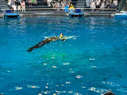 アソビュー！ポイントに投稿された画像（2026/6/18）