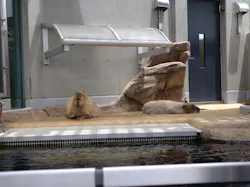 AQUARIUM × ART　atoa×神戸ポートタワーに投稿された画像（2026/6/18）