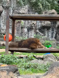 愛媛県立とべ動物園に投稿された画像（2026/6/18）