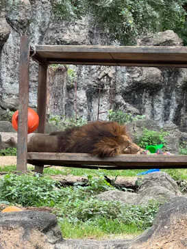愛媛県立とべ動物園に投稿された画像（2026/6/18）