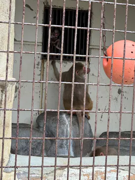 愛媛県立とべ動物園に投稿された画像（2026/6/18）