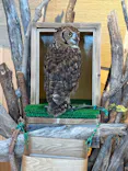 仙台うみの杜水族館に投稿された画像（2026/6/19）