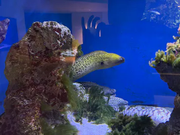 仙台うみの杜水族館に投稿された画像（2026/6/18）