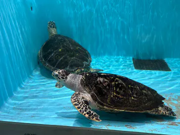 仙台うみの杜水族館に投稿された画像（2026/6/18）