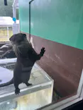 箱根園水族館に投稿された画像（2026/6/19）