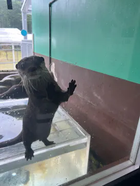 箱根園水族館に投稿された画像（2026/6/18）