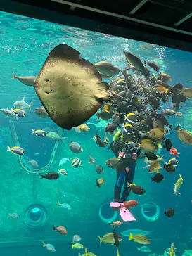 箱根園水族館に投稿された画像（2026/6/18）