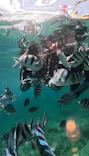 武藤潜水に投稿された画像（2026/6/19）