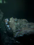 サンシャイン水族館に投稿された画像（2026/6/19）