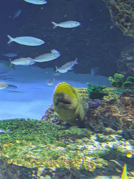 サンシャイン水族館に投稿された画像（2026/6/19）