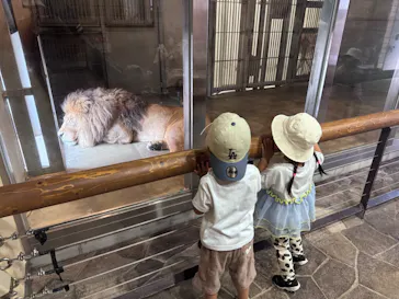 天王寺動物園に投稿された画像（2026/6/19）