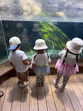 天王寺動物園に投稿された画像（2026/6/19）