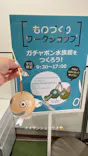 世界淡水魚園水族館　アクア・トトぎふに投稿された画像（2026/6/19）