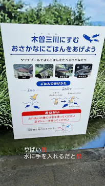 世界淡水魚園水族館　アクア・トトぎふに投稿された画像（2026/6/19）