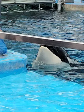 名古屋港水族館に投稿された画像（2026/6/19）