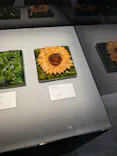 NAKED meets ガウディ展【大阪】に投稿された画像（2026/6/19）