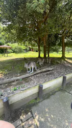 こども動物自然公園（埼玉県公園緑地協会）に投稿された画像（2026/6/19）