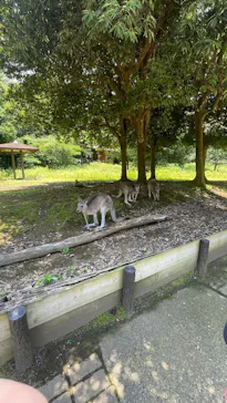 こども動物自然公園（埼玉県公園緑地協会）に投稿された画像（2026/6/19）