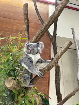 こども動物自然公園（埼玉県公園緑地協会）に投稿された画像（2026/6/19）