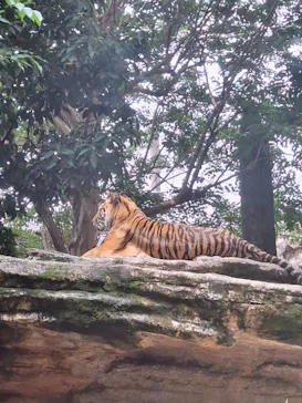 恩賜上野動物園に投稿された画像（2026/6/19）