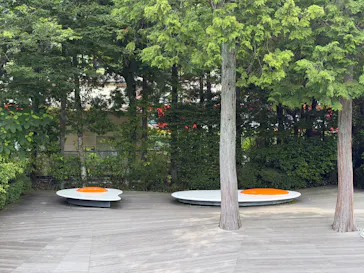 彫刻の森美術館に投稿された画像（2026/6/19）