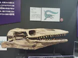 大絶滅展ー生命史のビッグファイブ（名古屋会場）に投稿された画像（2026/6/19）
