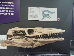 大絶滅展ー生命史のビッグファイブ（名古屋会場）に投稿された画像（2026/6/19）